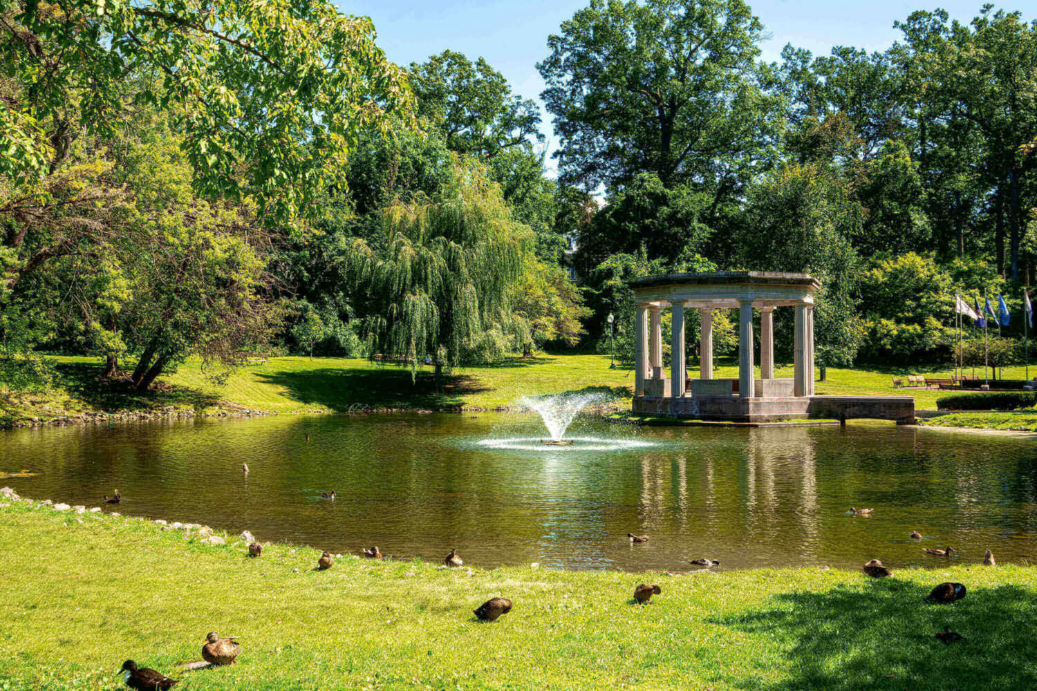 A pond with a fountain, ducks, and a pavilion surrounded by trees in a sunny park.