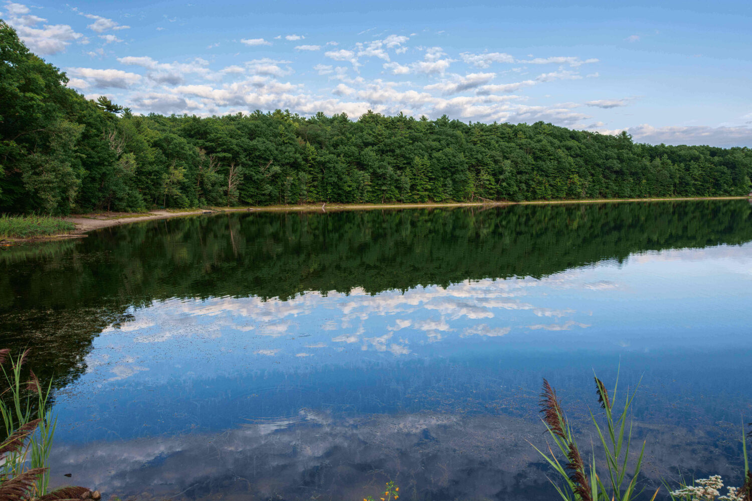 A calm lake reflects green trees and a blue sky with scattered clouds on a peaceful day.