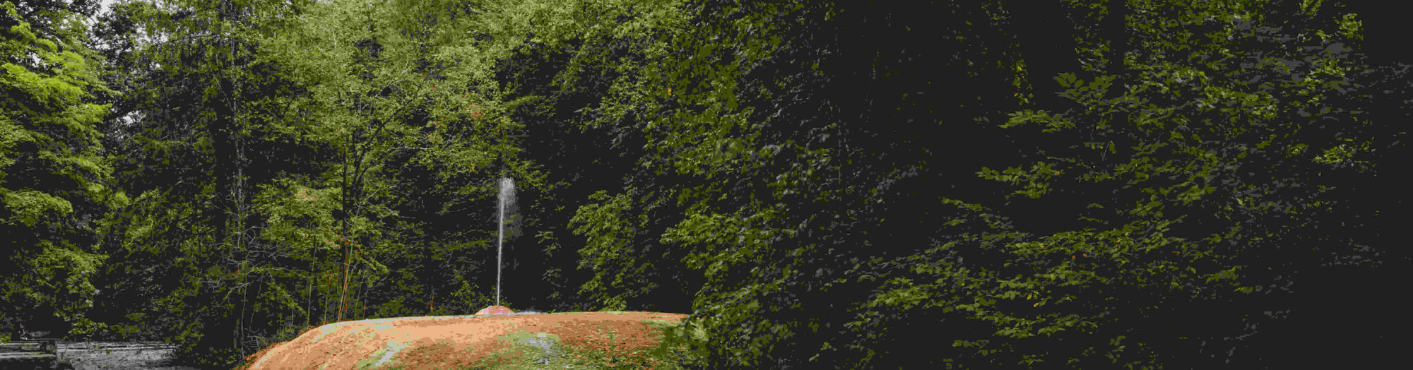 A river flows past a grassy, orange-tinged rock surrounded by dense, green forest under a cloudy sky.