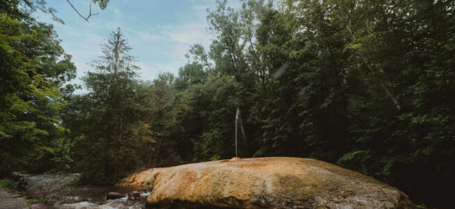 A small geyser on a mossy rock by a flowing river, surrounded by dense green trees under a blue sky.