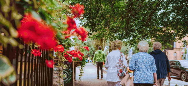 Four older adults walk on a tree-lined sidewalk with red flowers in the foreground.