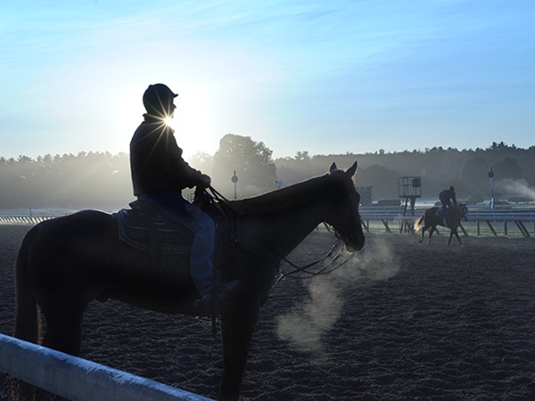 Morning horseback riding