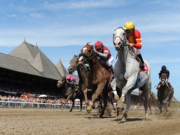 Horse racing at Saratoga Raceway