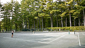 A couple enjoying a game of tennis.