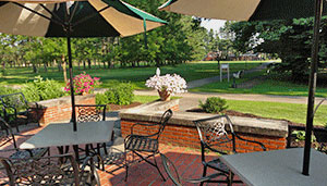 View of nature from Putnams Patio.