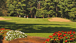 View of golfers putting on a green.