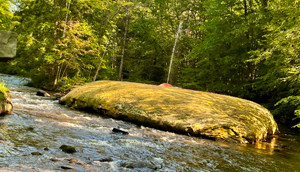 Spring fling at Saratoga Spa State Park